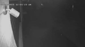 Caméra IP - Nueva Zelanda