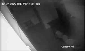 Caméra IP - Slovacchia