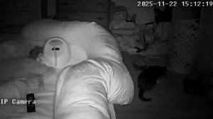 Caméra IP - États-Unis d'Amérique