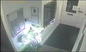 Caméra IP - United Kingdom