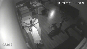 Caméra IP - Stati Uniti d'America