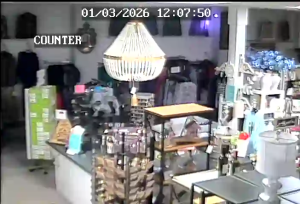 Caméra IP - États-Unis d'Amérique