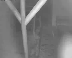 Caméra IP - Hungría