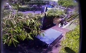 Caméra IP - Neuseeland