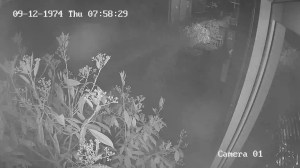 Caméra IP - Pays-Bas