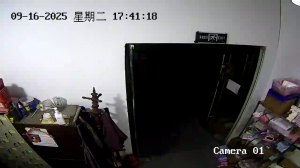 Caméra IP - Chine