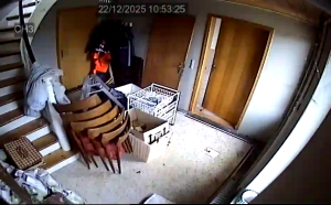 Caméra IP - Dinamarca