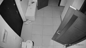 Caméra IP - Moldavia