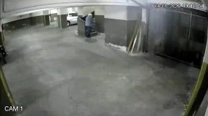 Caméra IP - Argentina