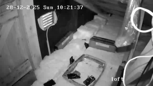 Caméra IP - Denmark