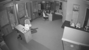 Caméra IP - United States of America