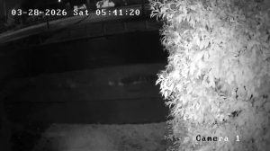 Caméra IP - Australia