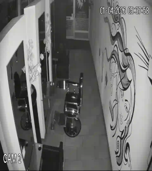 Caméra IP - Netherlands