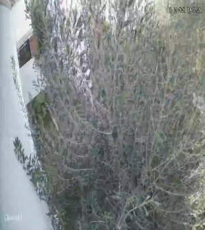 Caméra IP - Tunesien