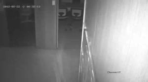 Caméra IP - South Korea