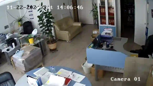 Caméra IP - Russian Federation