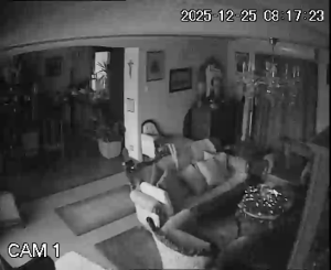 Caméra IP - Hungary