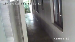 Caméra IP - Montenegro