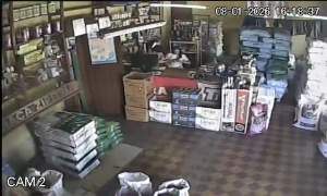 Caméra IP - Uruguay