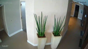 Caméra IP - Brasilien