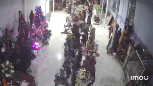 Caméra IP - Vietnam