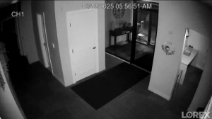 Caméra IP - États-Unis d'Amérique