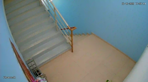 Caméra IP - Malesia