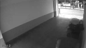 Caméra IP - República de Corea