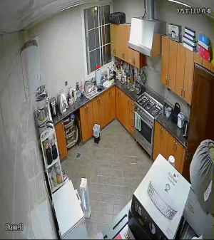 Caméra IP - Émirats Arabes Unis