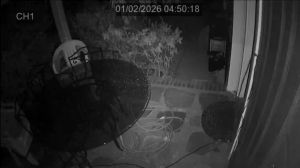 Caméra IP - Vereinigte Staaten von Amerika