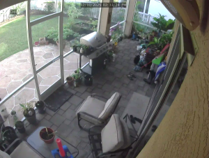 Caméra IP - États-Unis d'Amérique