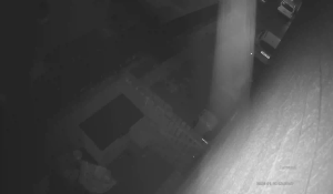 Caméra IP - United Kingdom