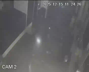 Caméra IP - Spanien