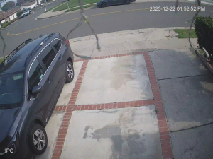 Caméra IP - Vereinigte Staaten von Amerika