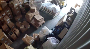 Caméra IP - Polynésie française