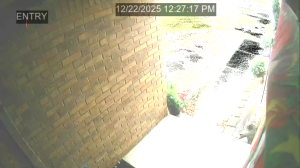 Caméra IP - Estados Unidos