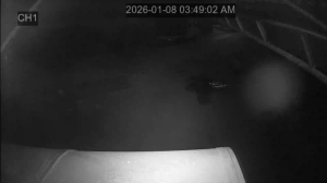 Caméra IP - República de Corea