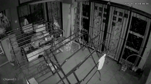 Caméra IP - Malaysia