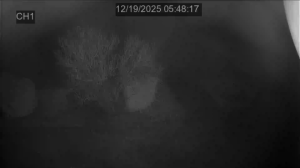 Caméra IP - Francia