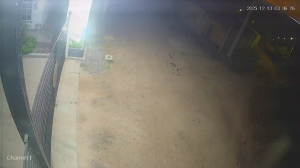 Caméra IP - Colombia