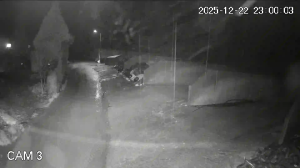 Caméra IP - Vue en direct