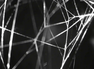 Caméra IP - Belgien