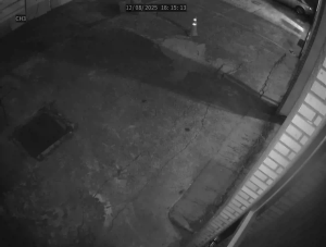 Caméra IP - Südkorea