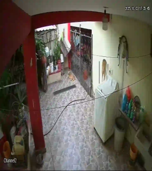 Caméra IP - Mexique