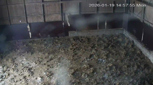 Caméra IP - Finland