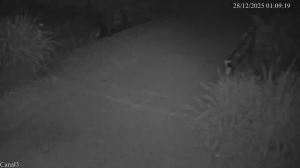 Caméra IP - Costa Rica