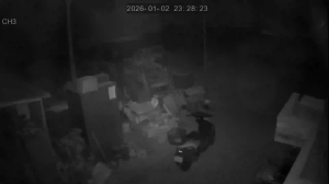 Caméra IP - South Korea