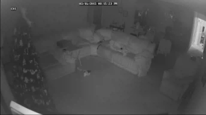 Caméra IP - United States of America