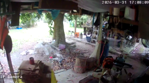 Caméra IP - Thailand