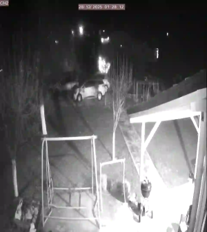 Caméra IP - Denmark